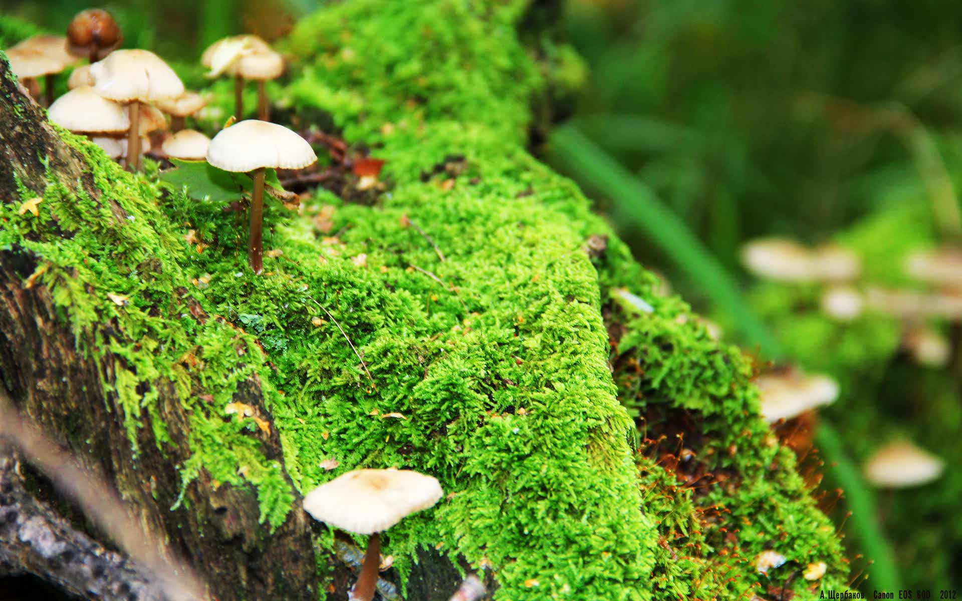 世界举重康复名师线上公开课互动环节回放发布,世界举重大师赛